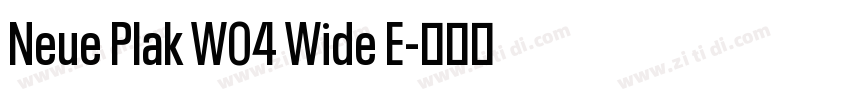 Neue Plak W04 Wide E字体转换